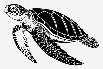 Obraz premium hawksbill turtle sihouette black vector 