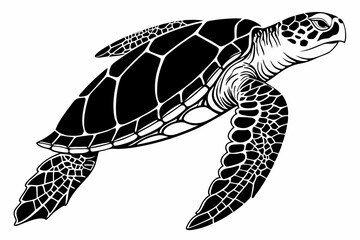 Obraz premium hawksbill turtle sihouette black vector 