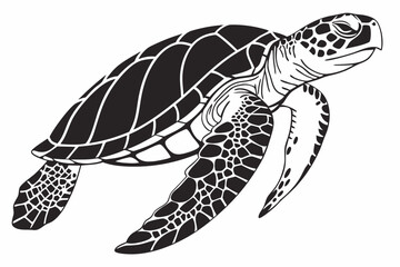 hawksbill turtle sihouette black vector 