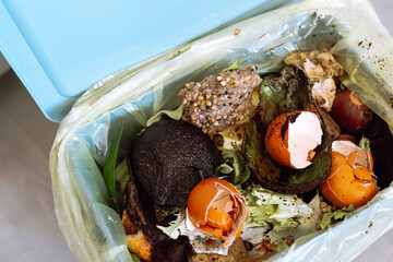 collecting organic food waste at home