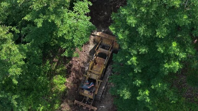 Ruspa apre strada nella foresta
