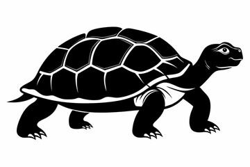 Fototapeta premium gal pagos tortoise silhoette black vector