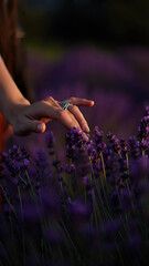 Hand Touching Lavender Blossoms: Serenity in a Purple Field at Sunset