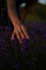 Hand Touching Lavender Blossoms: Serenity in a Purple Field at Sunset