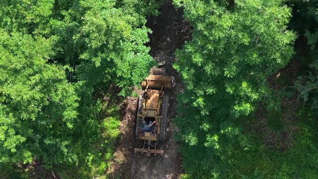 Ruspa apre strada nella foresta