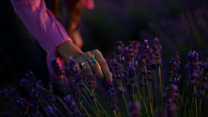 Hand Touching Lavender Blossoms: Serenity in a Purple Field at Sunset