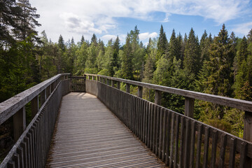 Bordrwalk of the wooden viewing platform of the Plodda  Falls, Glen Affric, Scottish Highlands