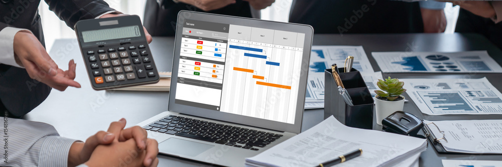Poster project planning software for brisk business project management on the computer screen showing timel