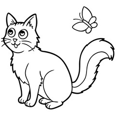 cat and mouse