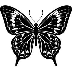 butterfly vector illustration