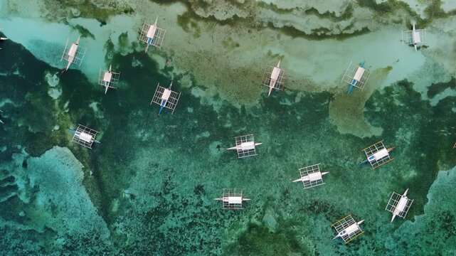 Bird's eye top aerial view of multiple Bangka Boats Floating in Surreal Coastal Waters near the shore of Alona Beach and White beach in Panglao Island, Bohol, Philippines