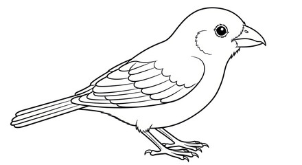 Isolated Sparrow Outline