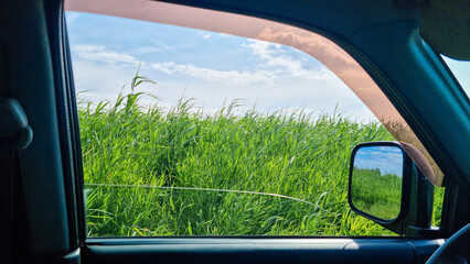 View of tall green grass and blue sky through open car window. Point of view from inside vehicle....