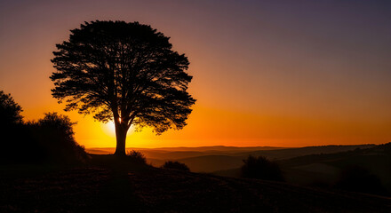 Fototapeta premium Solitary Tree Silhouette Against Vibrant Setting Sun Over Distant Rolling Hills