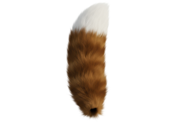 Isolated Fluffy Brown and White Fox Tail