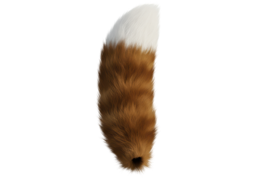 Isolated Fluffy Brown and White Fox Tail