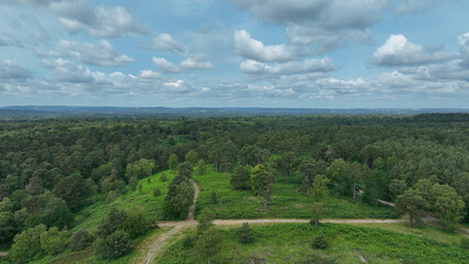 Aerial view of footpaths and woodland trees