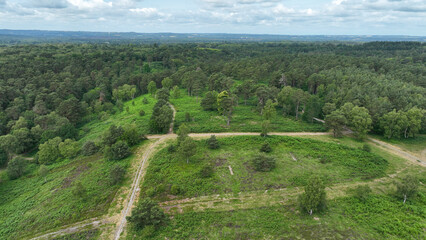 Aerial view of footpaths and woodland trees