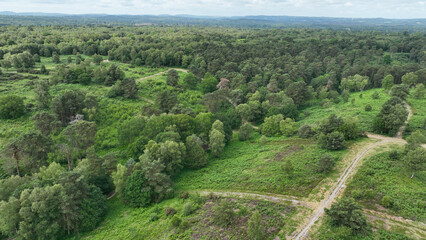 Aerial view of footpaths and woodland trees
