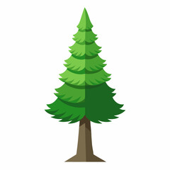 christmas tree isolated on white