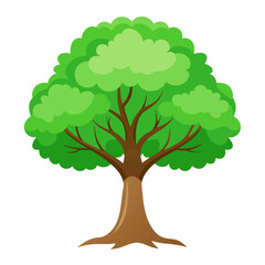 tree with green leaves