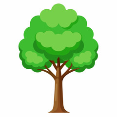 tree with green leaves