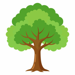 tree with green leaves