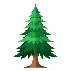 christmas tree isolated on white