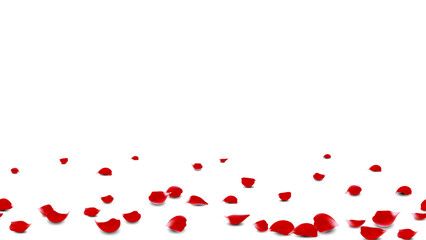 Frame background romantic event with realistic red rose petals on floor vector. seamless horizontal