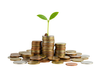 Isolated Growing Sprout on a Stack of Coins