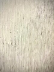 Weathered Plaster Texture: An evocative high-angle capture of a textured, old, weathered, white plaster surface, revealing subtle imperfections and a sense of timelessness.