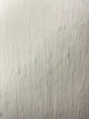Textured Wall Surface: A close-up captures the raw beauty of an aged, textured wall surface with a detailed display of the unique character of this architectural element.