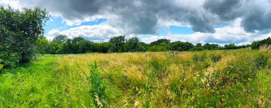 Panoramic view of a summer meadow with tall grass and dense green trees under a dramatic sky. Perfect for backgrounds, banners, and nature-themed design.