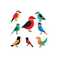 Obraz premium 44 vector illustration of 16 pigeon dove cucko.eps