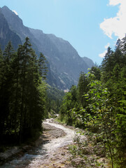 View into the Reintal valley in the Wetterstein Mountains, showing the origin of the Partnach river and the pristine Reintal & Schachen nature reserve in the Garmisch-Partenkirchen district, Zugspitz 