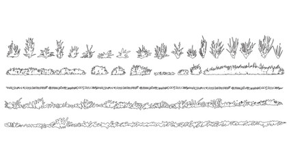 Wild Grass Bushes Hand Drawn Organic Line Art Vector Set © Sara Studio