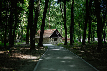 Stone cabin amidst a serene forest setting with a winding pathway