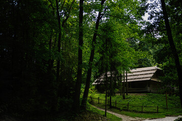 Rustic wooden house surrounded by lush greenery in a tranquil forest setting