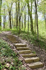 The rock steps in the forest on a spring day.