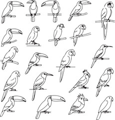 Naklejka premium Toucan Bird Line Art: 25 Illustrations for Design Projects