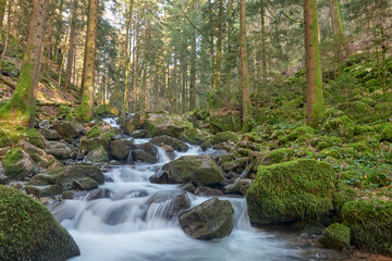 Misty Allerheiligen Waterfalls in Black Forest National Park, Germany. Scenic forest waterfall Allerheiligen Waterfalls in National Park SCHWARZWALD, Germany. Long exposure shot of a cascading