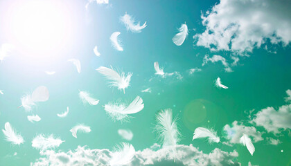 Transform These Slow-Falling Feathers into a Dreamy, Surreal Sky Environment with Soft, Ethereal Aesthetic
