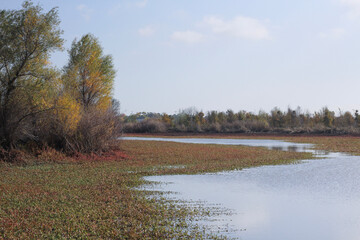 autumn landscape with river