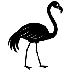 Fototapeta premium A black flamingo silhouette is isolated on white background