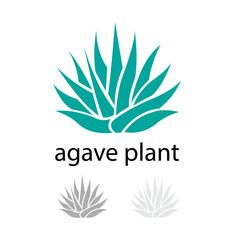 Fototapeta premium Modern and clean logo design featuring a stylized agave plant. Includes color and monochrome variations. Ideal for branding, natural products, or tequila labels.