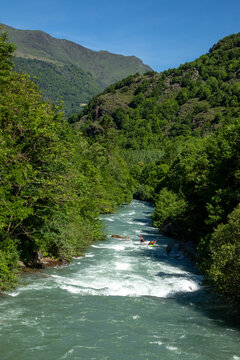 Kayakers navigating a river surrounded by lush greenery