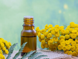 tansy essential oil in a beautiful bottle on the table