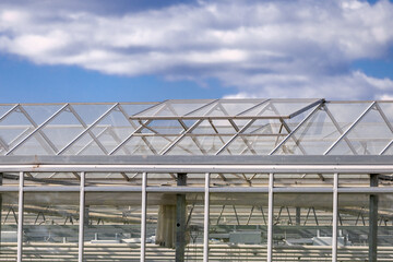 A close-up view of a glass greenhouse roof, showcasing the transparent panels and metal framework....