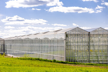 A close-up view of a glass greenhouse roof, showcasing the transparent panels and metal framework....