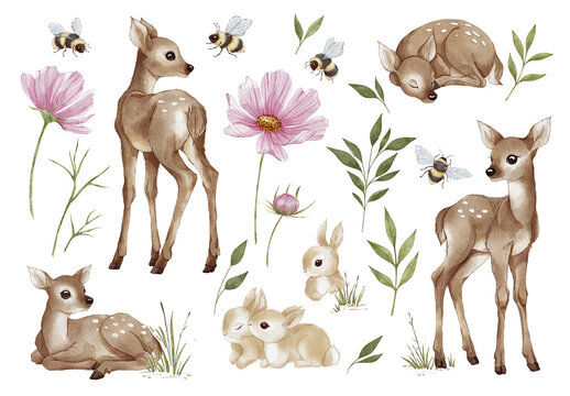 Woodland Watercolor Clipart Collection with Cute Deer, Bunnies, Bees and Pink Cosmos Flowers. Hand Drawn Forest Animal Illustrations for Baby Room Wall Art, Scrapbooking, Nursery Decor and Cards